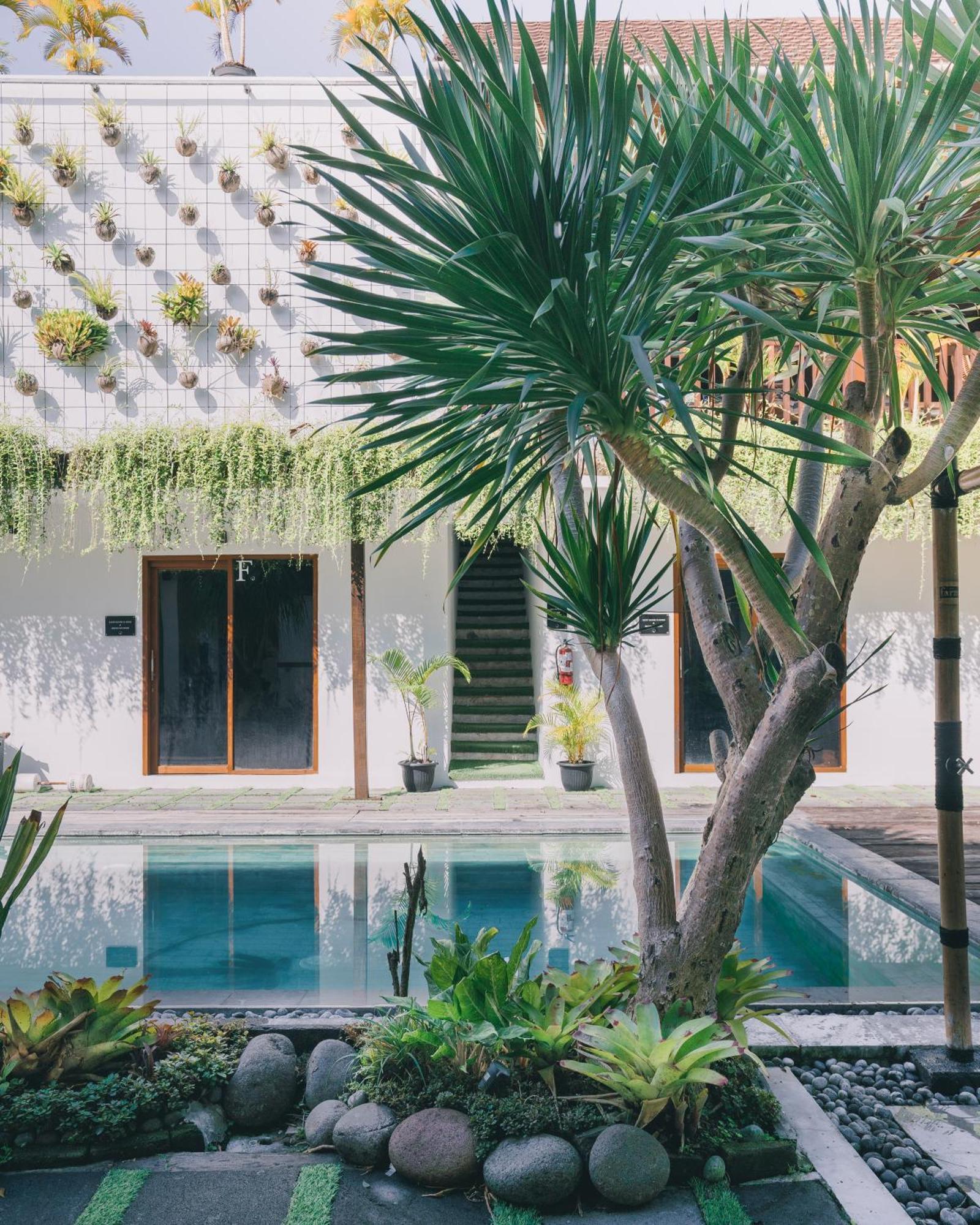 The Farm Hostel Canggu Exterior foto